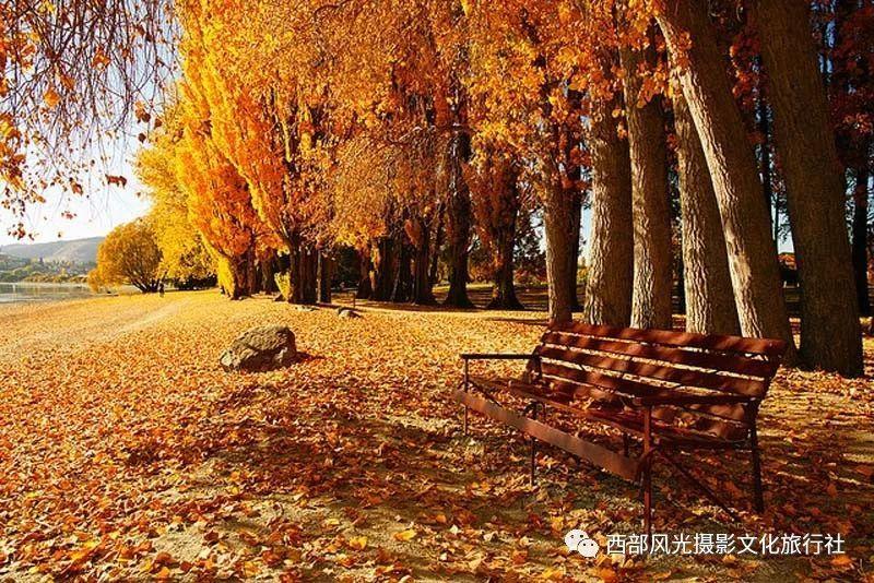 新春将至 枣庄薛城书法家挥毫泼墨送“福”上门